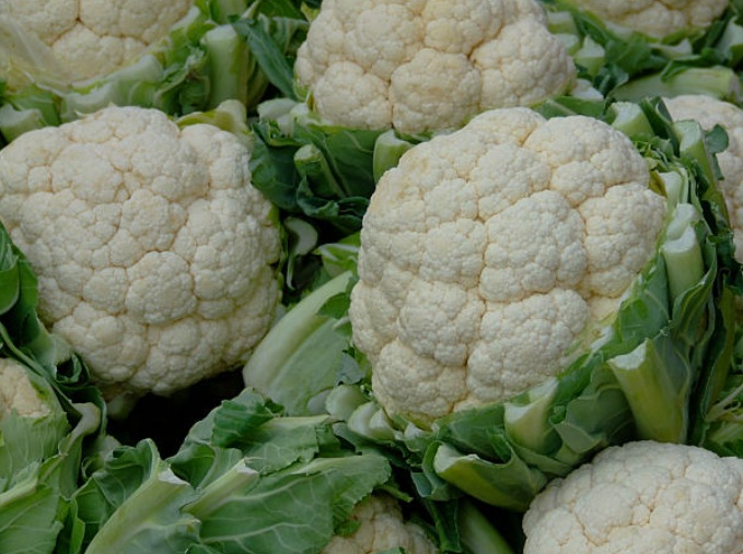 Cauliflower Fresh